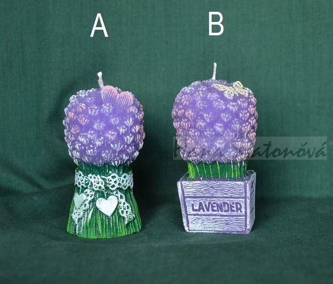 Levandule kytička - výška 7,5cm