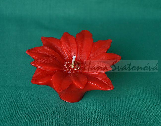 Vánoční hvězda květ, průměr 8cm