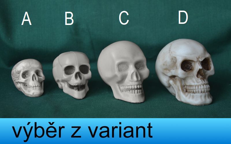 Lebky malé - výška 3 - 5,5cm 